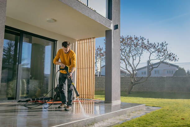 Best Graffiti Removal  in Felida, WA